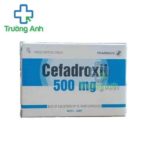 Cefadroxil 500mg Pharbaco - Thuốc điều trị nhiễm khuẩn
